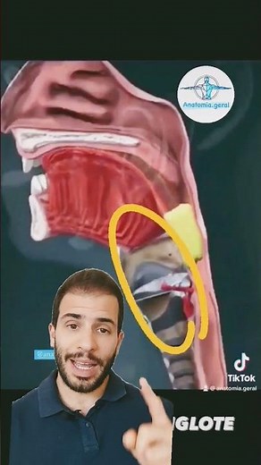 What is the epiglottis and what is it used for?
