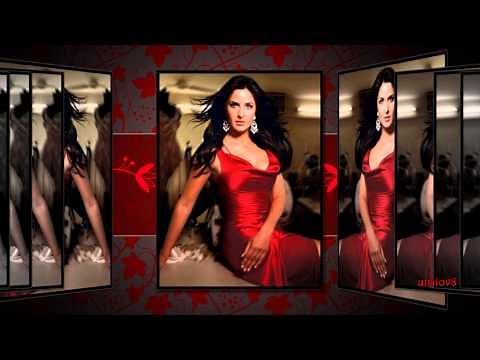 Chris de Burgh - Lady In Red (With Lyrics)