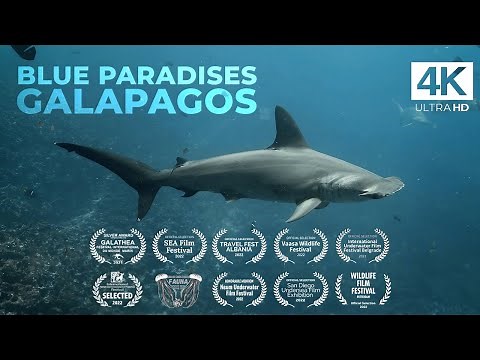 Diving GALAPAGOS ISLANDS - Ecuador - Underwater Video 4K - BLUE PARADISES (S01)