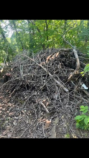 Shawn’s new toy! 😂 | Christina Fitzpatrick