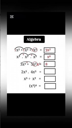Basic Algebra Rules You Must Know!