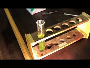 Photosynthesis AQA GCSE required practical