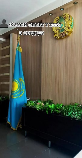 #рекомендации❤️❤️ #безхэштегов #ответпользователю #волейбол #какойспорттебеподуше? #рекомендации❤️❤️ #рекомендации❤️