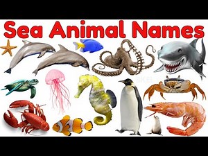 🌊 Sea Animals for Kids | Learn Ocean Animal Names & Sounds | Preschool Learning Video