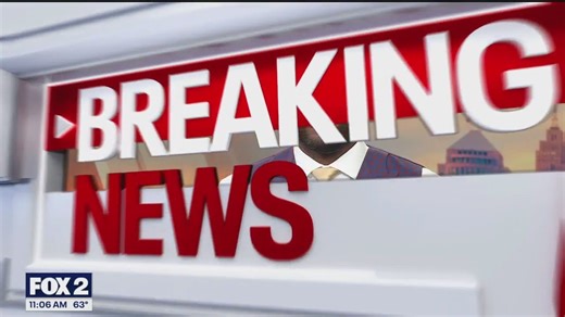 FOX 2 News Live at 11