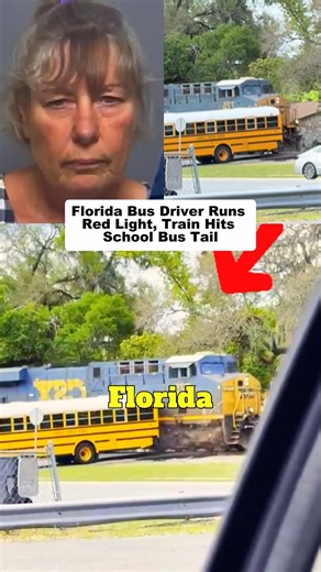 Florida School Bus Driver Arrested After Train Crash With 29 Students 😳