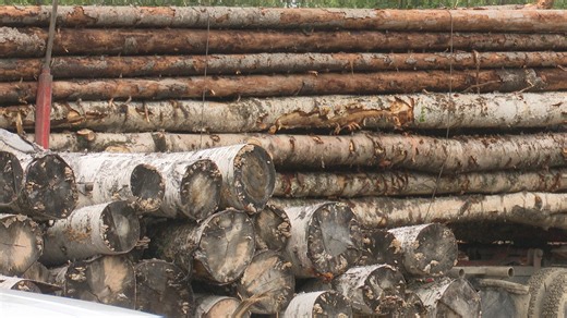 How International Paper’s mill closures are affecting the local logging industry