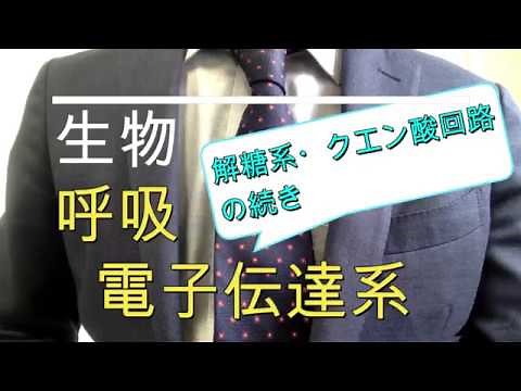 High school biology: "Respiration mechanism 3: Electron transport chain"