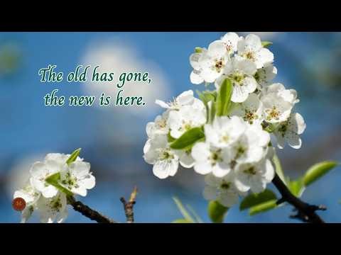 Blooming Into a New Season | Uplifting Spring Scenery | 2 Corinthians 5:17 (NIV)