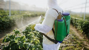 New Map Highlights U.S. States with the Most Harmful Pesticide Usage