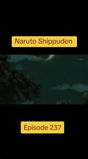 Naruto Shippuden Épisode 237