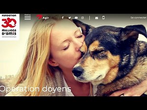 L'association 30 millions d'amis vous aide à adopter un vieux chien