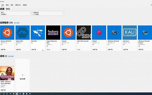 适用于Linux的Windows子系统（WSL）基础入门