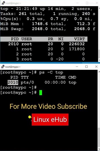 How to check process ID and kill a process. #trending #shorts #viralshorts #linux