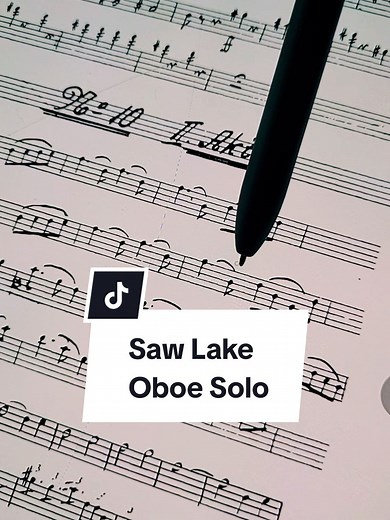 Swan Lake, Op.20 - Act. 2 - Solo Oboe - Tchaikovsky #oboe . . #violin #ensamble #classicalmusic #musicclass #instrument #oboeplayer