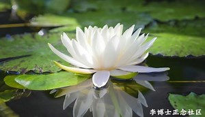 AP7 身体扫描进阶版G