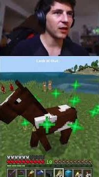 Having fun in vanilla MINECRAFT #minecraft #gaming #gameplay #funny