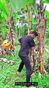 Boxing gone wrong😱🇮🇳 | Thompson Pisa