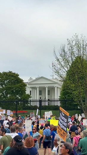 Courage is contagious. When you take action or speak out, you inspire others to do the same. | Indivisible Guide