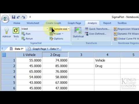 Performing a t-test in SigmaPlot 13