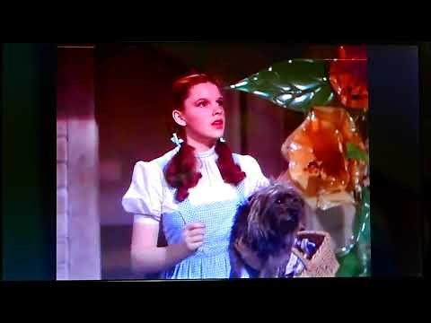 Wizard of Oz, actual scene showing transistion from B&W to color