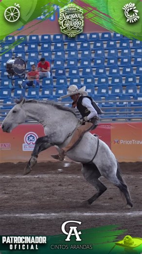 🤠🍋Lımón Chαrro🍋🤠 on Instagram: "🟢🟢GRACIAS A NUESTROS PATROCINADORES QUE NOS ESTÁN TRAYENDO LO MEJOR DEL CONGRESO Y CAMPEONATO NACIONAL CHARRO “AGUASCALIENTES 2025” EN HONOR A PASCUAL ORTIZ RUBIO.🟢🟢 🐮🐴👊🏽“CINTOS ARANDAS”👊🏽🐴🐮 @cintosarandas #patrocinadoroficial Trae para tí los mejores momentos del #nacionalcharroaguascalientes2025 #LimonCharro #LimonSports #ElCitricoDeLaPublicidad yoandocharreando"