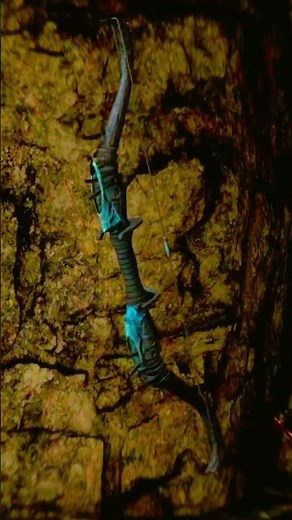 Skyrim | Weapon | Ancient Stalhrim Bow