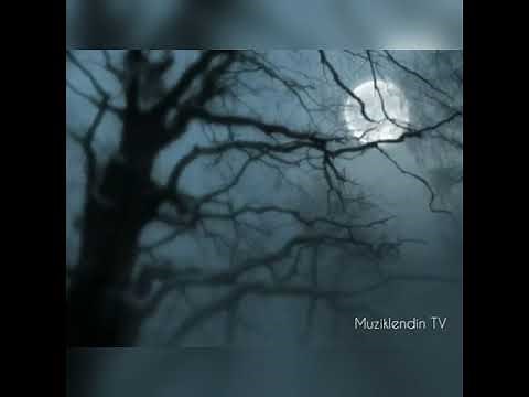 Beethoven Silence(1 saat)