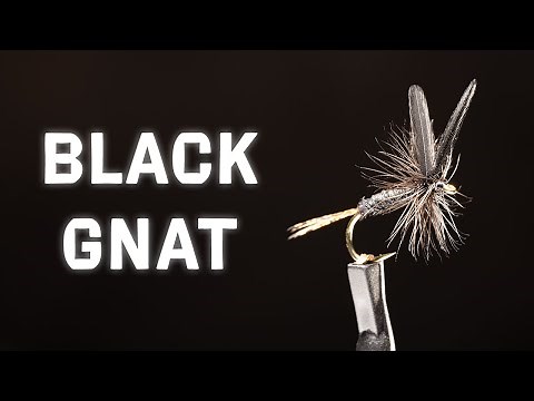 Black Gnat Dry Fly | Best For Trout? | Fly Tying Tutorial