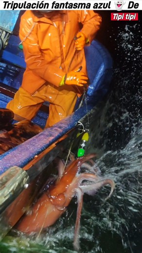 Pesca de Jibia - Tipi tipi su Kraken para el YouTube #pesca #fishing #calamares