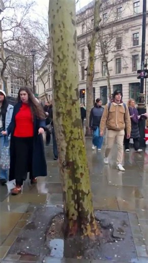 No Talking Rainy London: Road to Piccadilly Circus