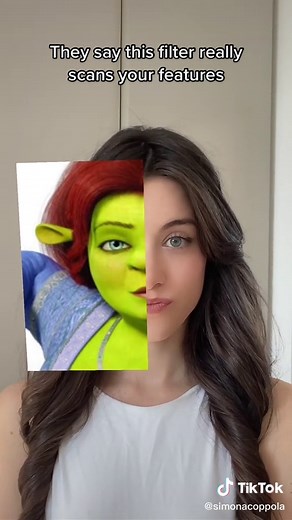 Exploring TikTok Hair Filters and Effects