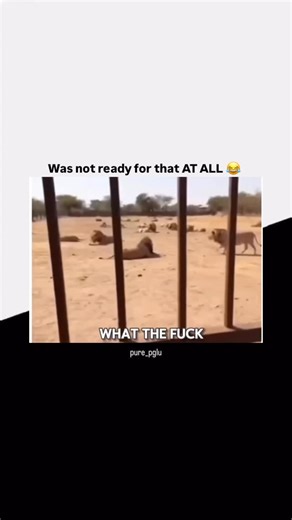 PURE PAGLU on Instagram: "Was not ready for that AT ALL😂 The first trailer has been released online for Christopher Nolan’s epic adaptation of Homer’s Odyssey. Starring Matt Damon as the classic Greek hero, the trailer offers a series of shots of a bearded Damon as he sets out to return from the fall of Troy as his gravelly voiceover announces: “After years of war … no one could stand between my men … and home … not even me.” The trailer also provides brief glimpses of Anne Hathaway as Odysseus