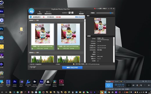 Duplicate Photos Fixer Pro 1.3.1086.188一款专根据相似度查找清理电脑重复图片软件