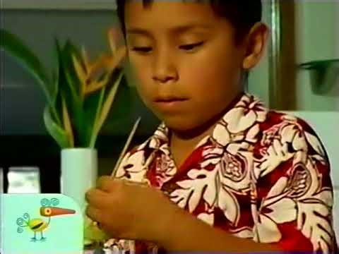 Noggin - Snack Time: Fruit Kebabs