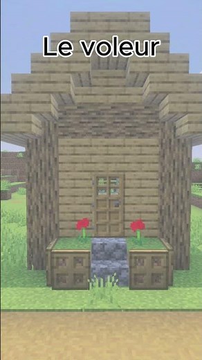 Les différent types de maisons! (Partie 2)