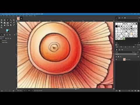 Adjusting Color in an Image using Various Techniques Using GIMP