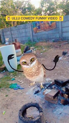 🦉 ULLU COMEDY FUNNY VIDEO 🦉#comedy #funny