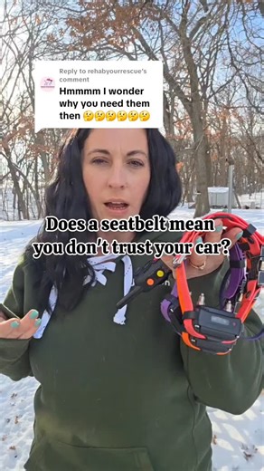 I get asked all the time why I still use e-collars if my dogs listen so well without them. The truth is, the collar isn’t about a lack of trust it’s about a safety net. Just like a seatbelt, I’d rather have it and not need it than the other way around. In the country, I can't control the wildlife or the environment, but I can ensure my dogs stay safe no matter what we encounter. #ecollar #balancedtraining #dogsofinstagram #minnesota #dogowner | Our Life Unleashed