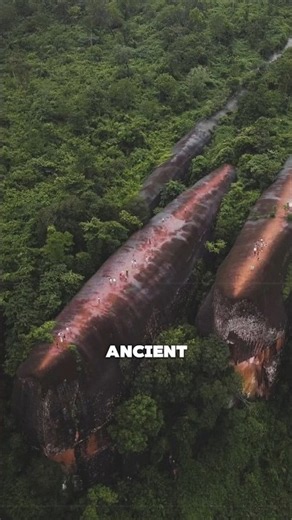 These 75-Million-Year-Old Rocks Look Like 3 Whales!