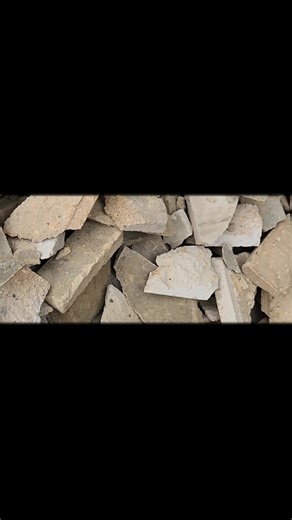 Wednesday...men at work...yellow bush...