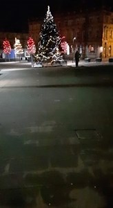 9.8K views · 667 reactions | Here’s a lovely little video that’s just fallen into our paws. TPE colleague Pam Coduri gives us a guided tour of the hardworking team on Christmas Eve *** Please see the reposted video with the correct portrait orientation. This post was landscape - we suspect Percy and his gremlins were to blame *** https://m.facebook.com/story.php?story_fbid=1367651406911170&id=107081156301541&ref=content_filter | The Huddersfield Station Cats | Facebook