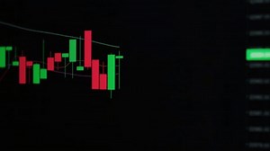 Stock Market Chart Candlestick Graph in TimeLapse Seamless Looping 4k. Cryptocurrency exchange chart online. Bitcoin trading with price evolution data. App on screen of laptop or pc