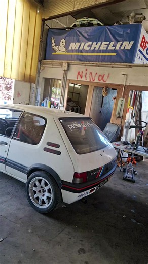 ITBs GTI: 205 GTI Individual Throttle Bodies Guide