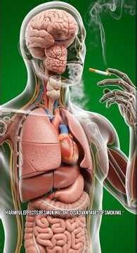 The Truth About Smoking | Health Warning #usa #health #3danimation #smokeyeye #viral