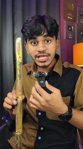 Sugarcane Transform into Plates Cups & Eco Products..!!