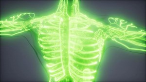 Blood Vessels of Human Body