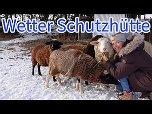 Schaf Stall bau mit einfachen Mitteln