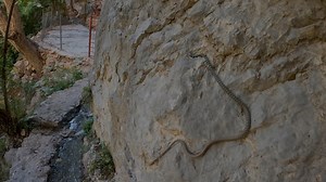 32K views · 1.1K reactions | گەشتێک بۆ بەهەشتێکی ئەم وخودایەو بینینی مارێکی جوانیش | Saman | Facebook