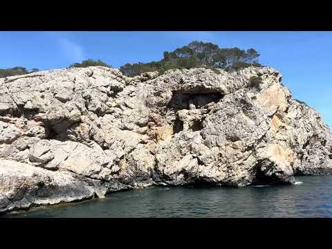 Wunderschön Paguera Bootstour - Cormoran Cruises
